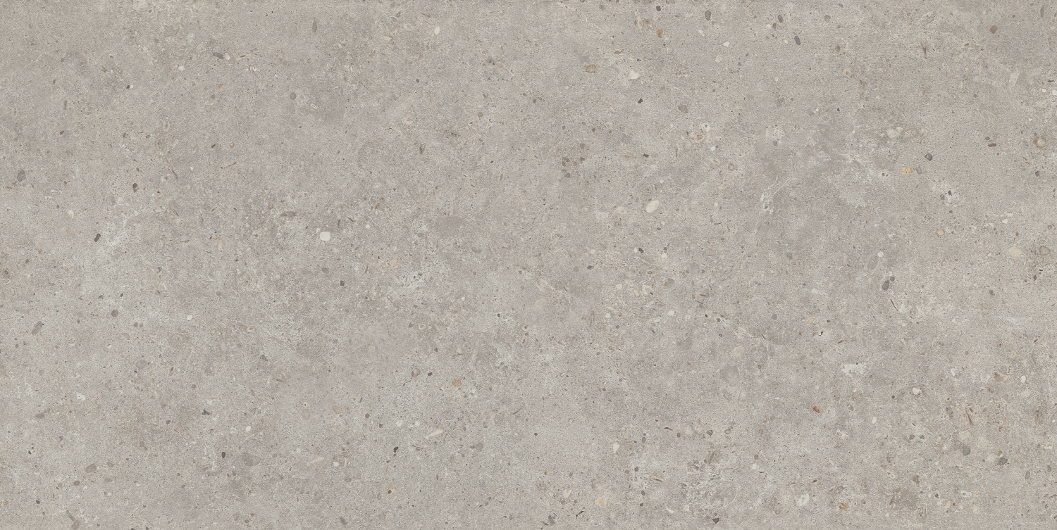 Керамический гранит Kerama Marazzi Риккарди SG519920R серый светлый матовый обрезной 60х119,5