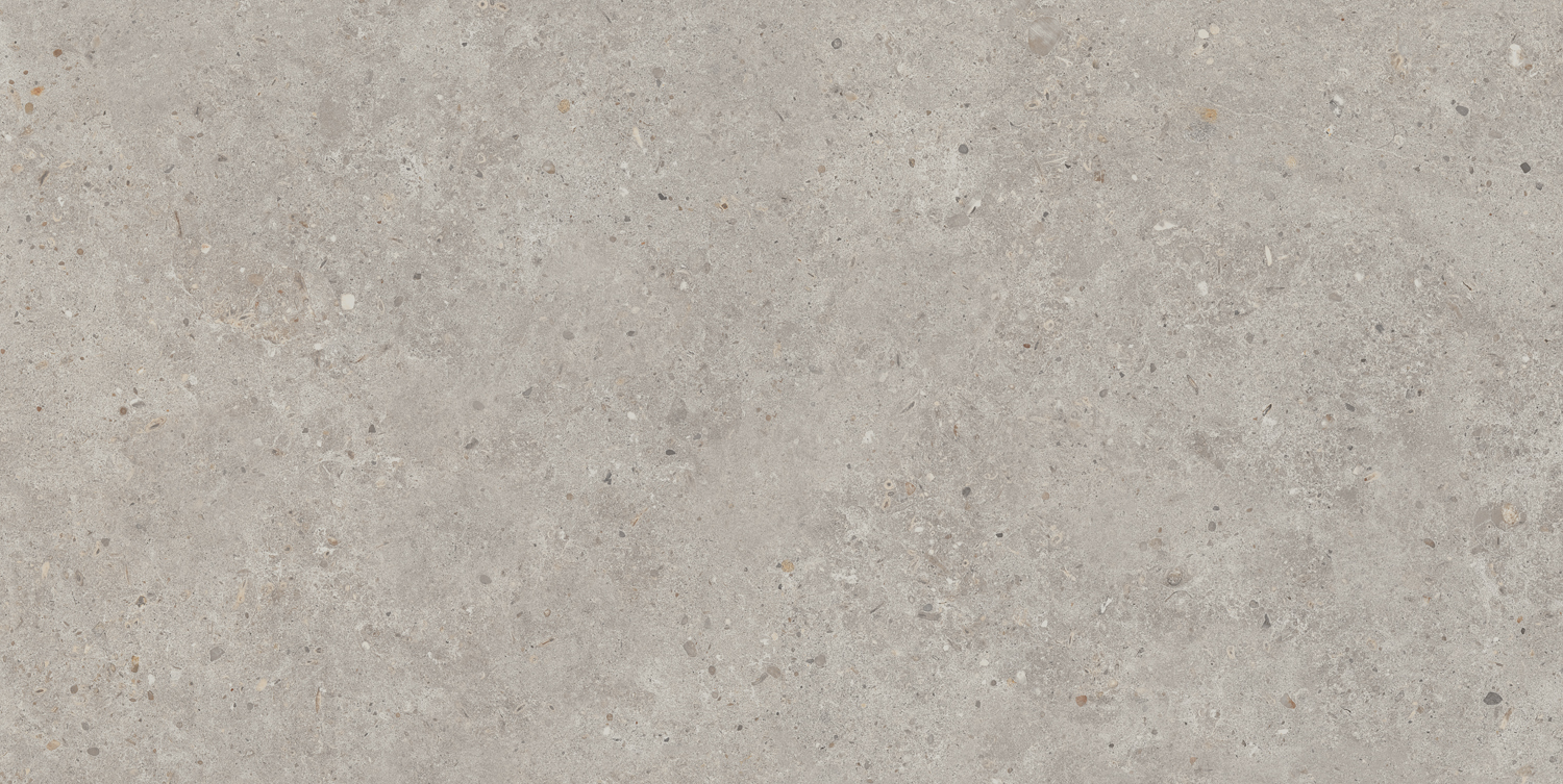 Керамический гранит Kerama Marazzi Риккарди SG519920R серый светлый матовый обрезной 60х119,5