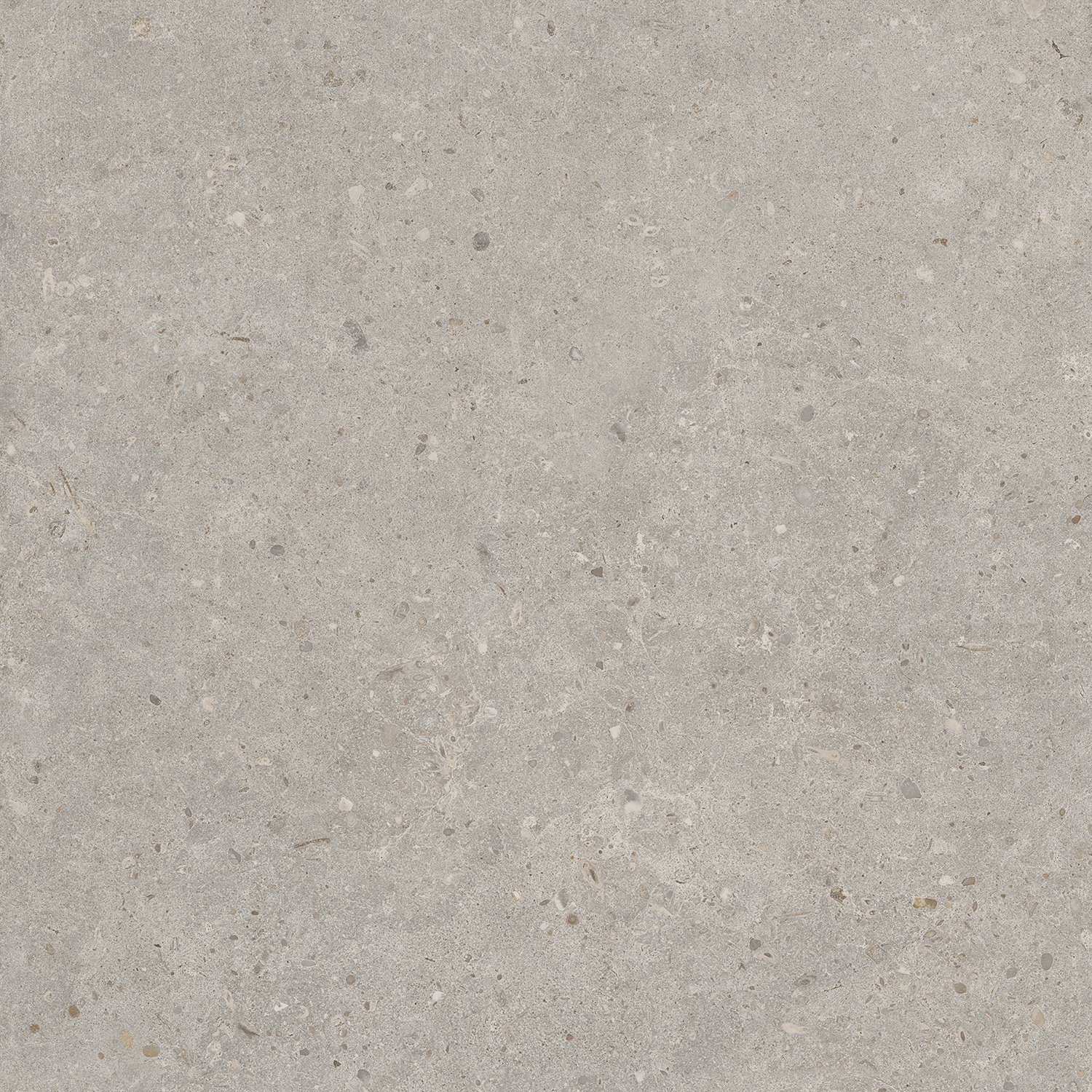 Керамический гранит Kerama Marazzi Риккарди SG653720R серый светлый матовый обрезной 60х60