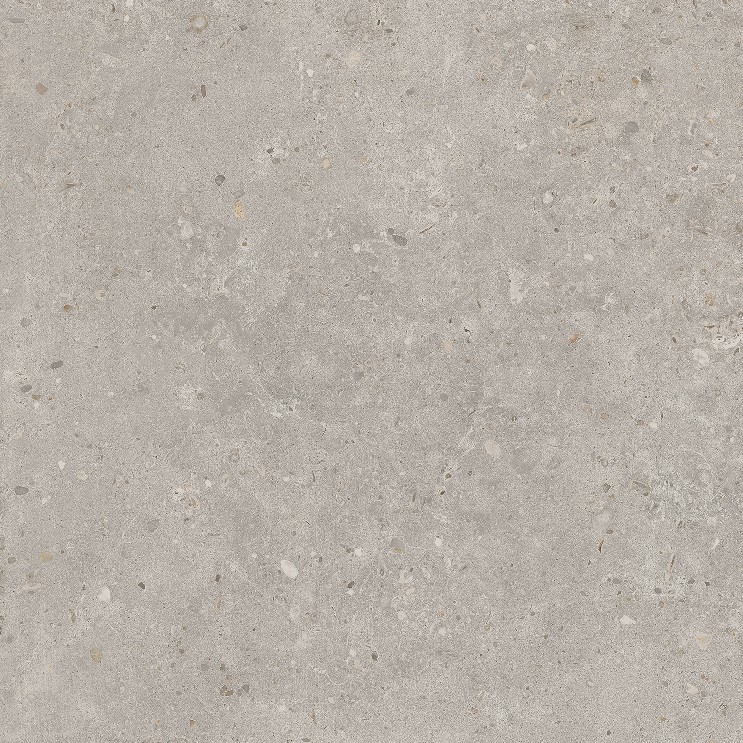 Керамический гранит Kerama Marazzi Риккарди SG653720R серый светлый матовый обрезной 60х60