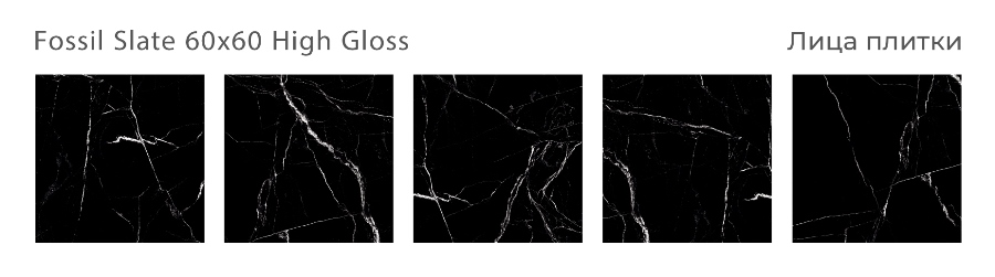 Керамический гранит Fossil Slate High Gloss 60x60