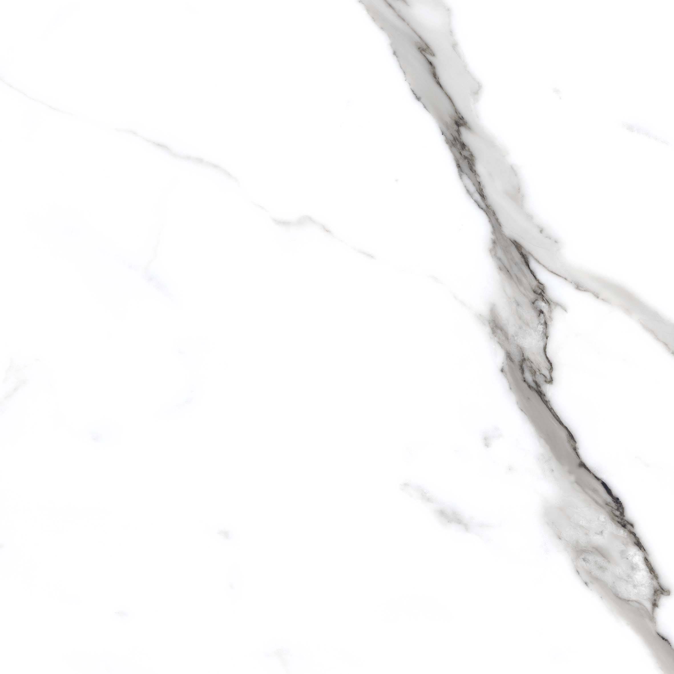 Керамический гранит Primavera Salvatore carving 60x60 CR117 матовый