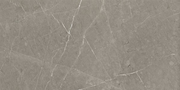 Керамический гранит Kerranova Skala серо-бежевый  K-2202/MR  матовый 600х1200