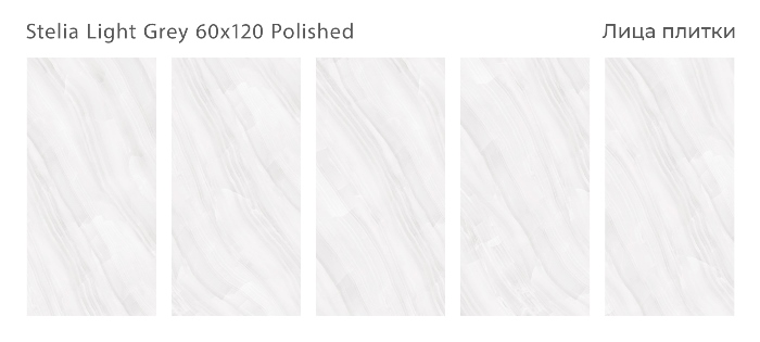 Керамический гранит Stelia Light Grey Polished 60x120