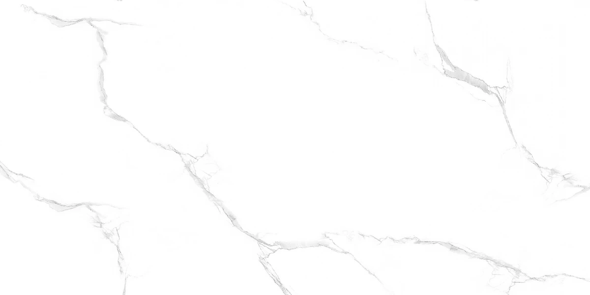 Керамический гранит MAIMOON CERAMICA SILVER SATUARIO PG полированный 60х120