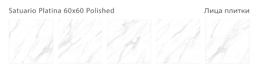 Керамический гранит Satuario Platina Polished 60x60