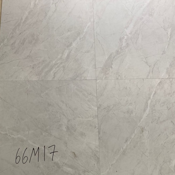 Керамический гранит Primavera Пантир TP66M17 матовый