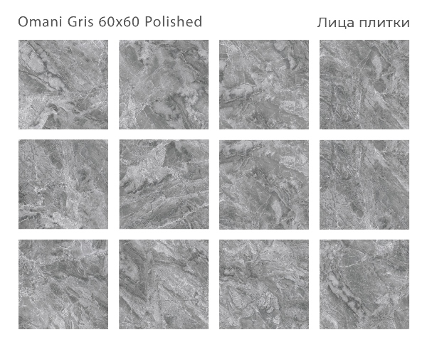 Керамический гранит Omani Gris Polished 60x60