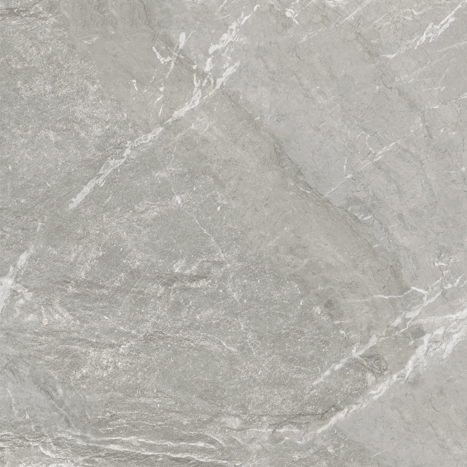 Керамический гранит Delacora Wild Light матовая 60х60 D60259M в Уфе — купить с доставкой | Nova