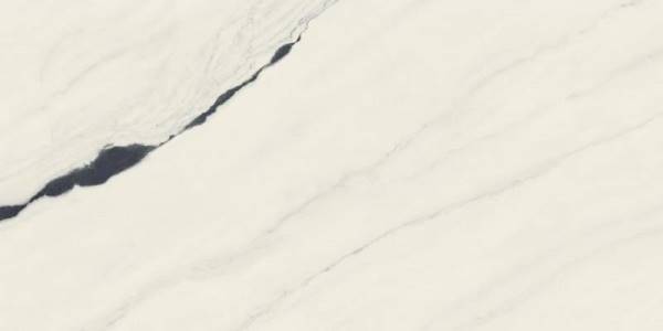 Керамический гранит Atlas Concorde Форте Дей Марми Панда Вайт Рет 60х120 Чер