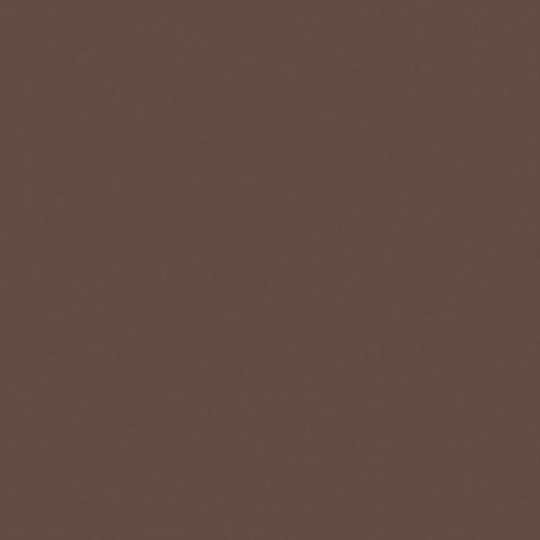 Керамический гранит Estima Rainbow RW04 Brown неполированный 60x60