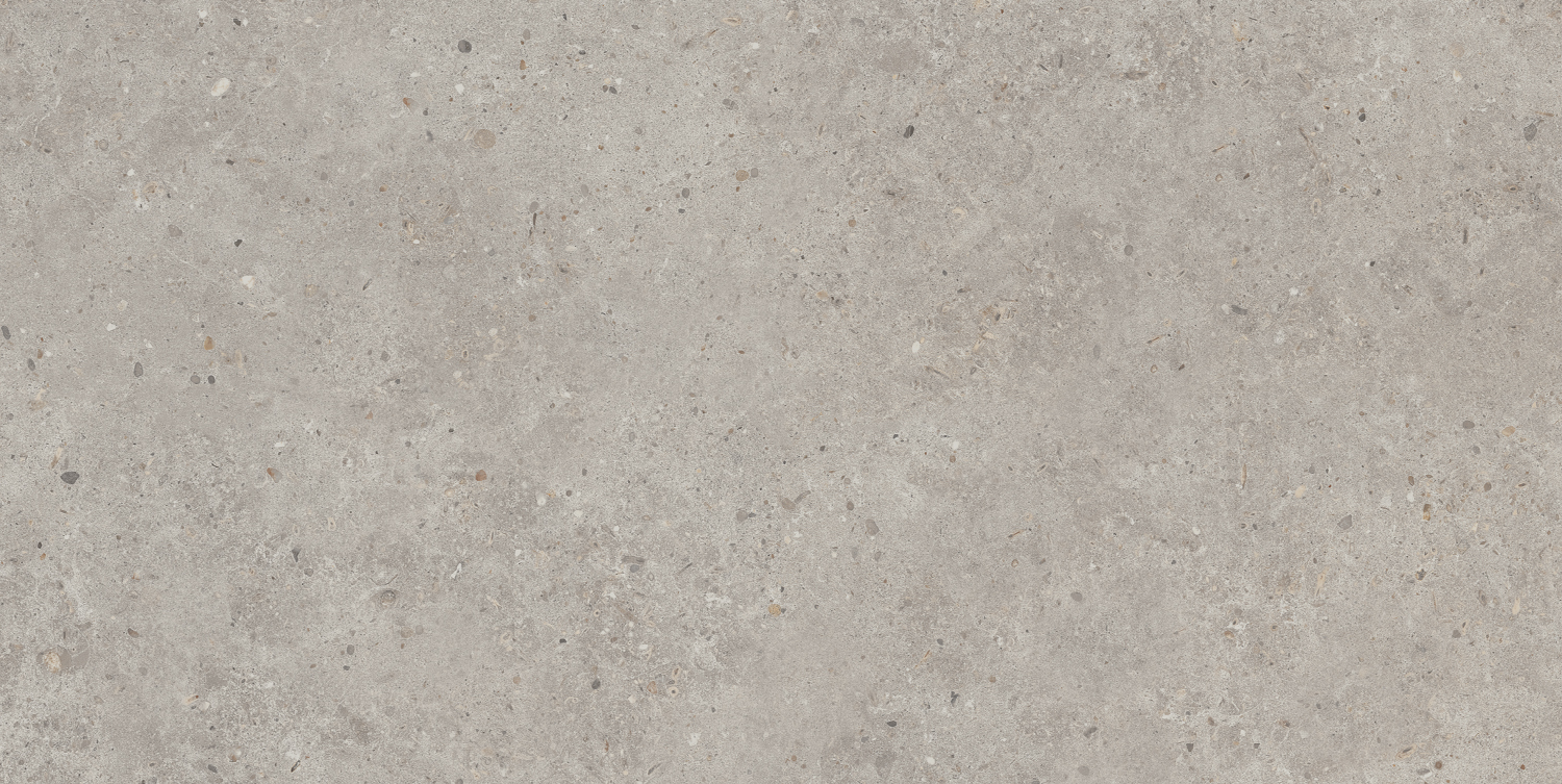 Керамический гранит Kerama Marazzi Риккарди SG519920R серый светлый матовый обрезной 60х119,5