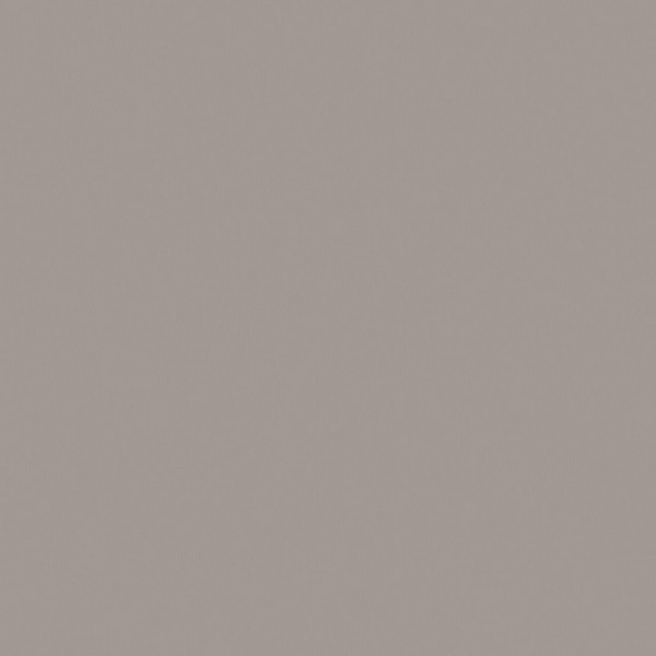 Керамический гранит Estima Rainbow RW03 Brown Grey неполированный 60x60