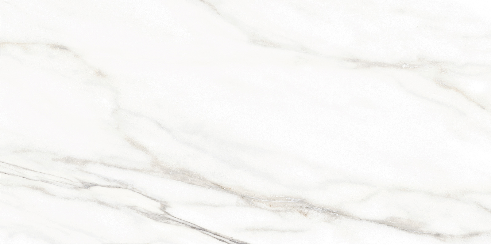 Керамическая плитка Alma Ceramica Euphoria матовая 24,9х50 TWU2550EPH04 в Уфе — купить с доставкой | Nova
