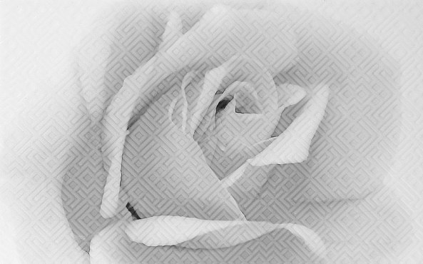 Керамический декор Камелия чёрный 02