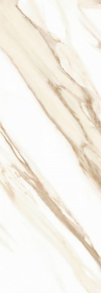 Керамическая плитка Kerlife Royal Gold R 24,2х70