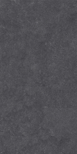 Керамический гранит Estima Terra TE04 Black неполированный 80x160