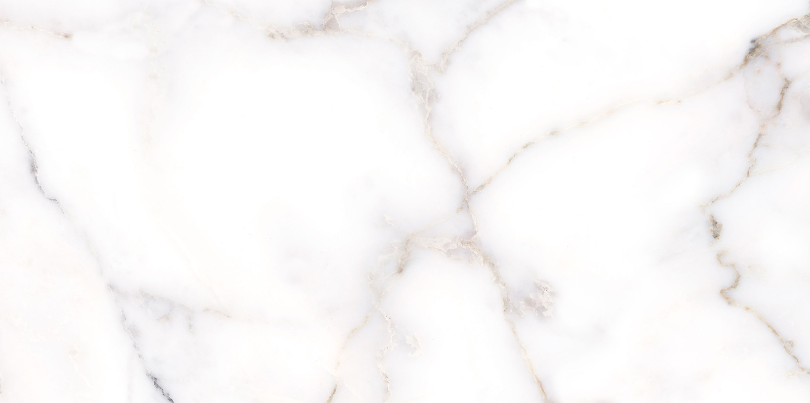 Керамическая плитка Alma Ceramica Grigio глянцевая 24,9х50 TWU09GRG007 в Уфе — купить с доставкой | Nova