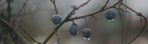 Керамический декор Тракай 8 OS/A120/9016 глянцевый