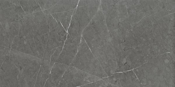 Керамический гранит Kerranova Skala темно-серый  K-2203/MR матовый 600х1200