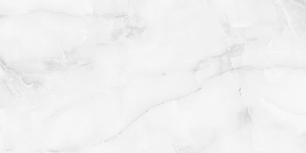 Керамический гранит Antisky Grey light Polished 60x120