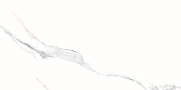 Керамический гранит Statuario Matt QUA0052 60х120