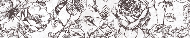 Керамический бордюр Axima Мерида G 60x300