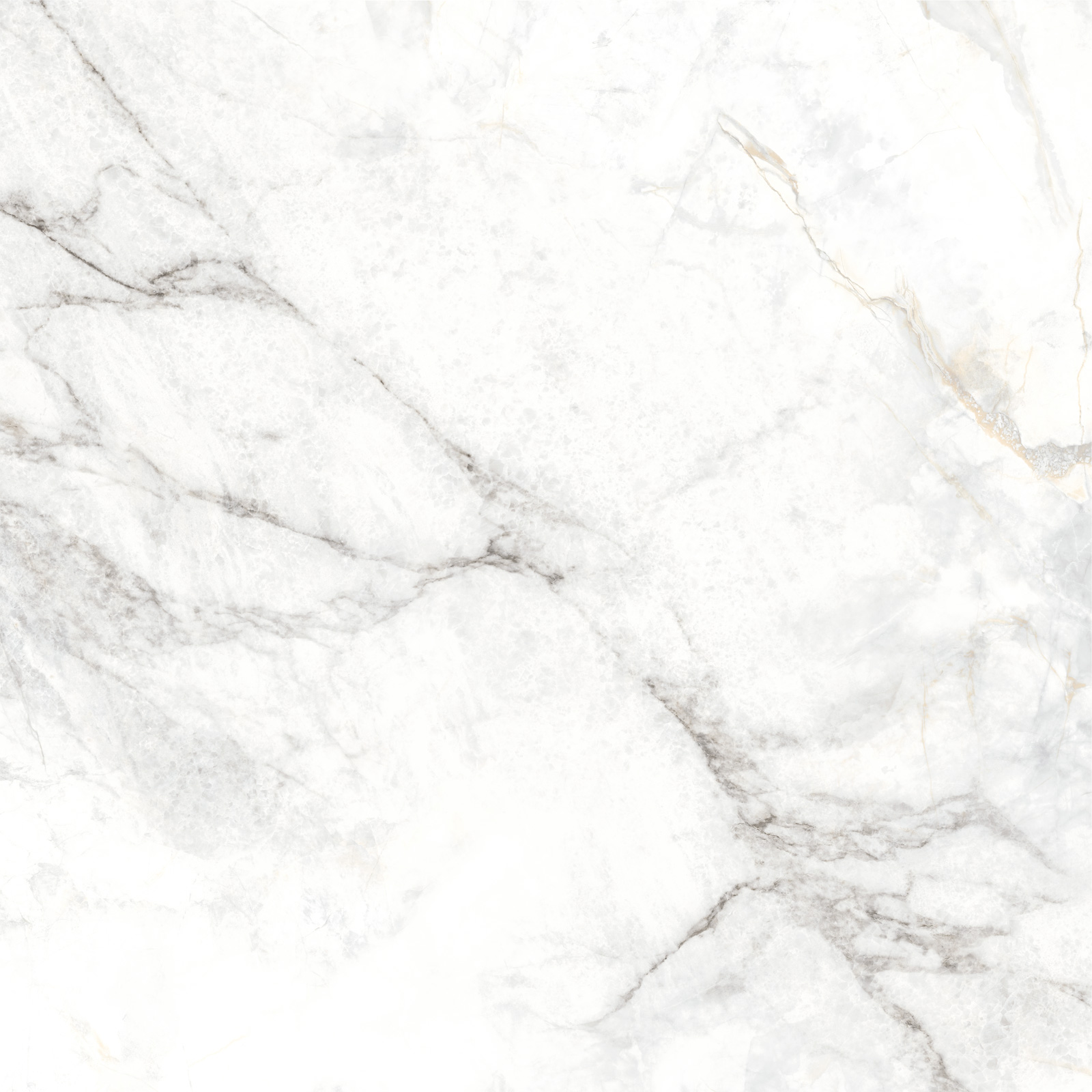 Керамический гранит Delacora Bahamas Carrara матовая 60х60 D60242M в Уфе — купить с доставкой | Nova