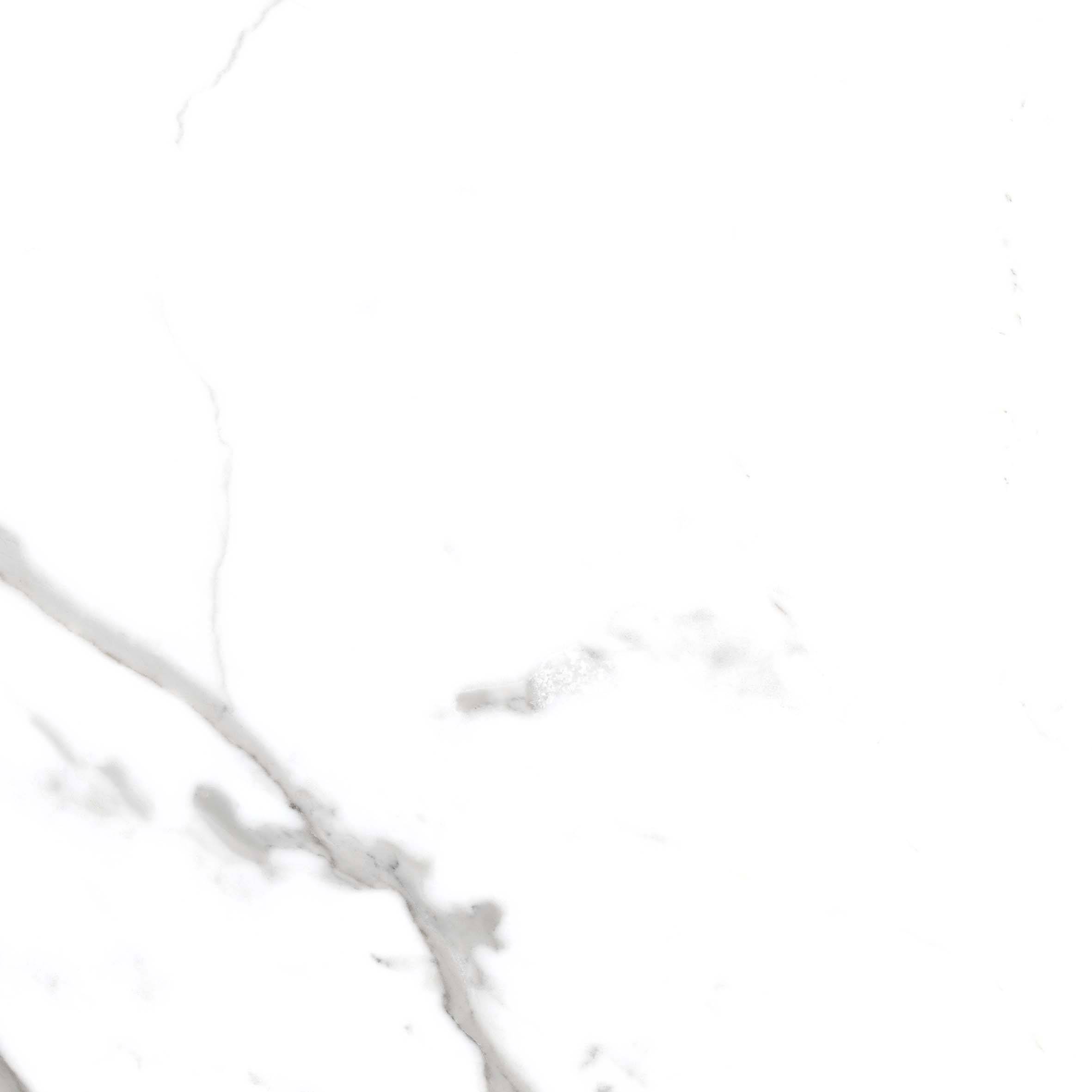 Керамический гранит Primavera Salvatore carving 60x60 CR117 матовый