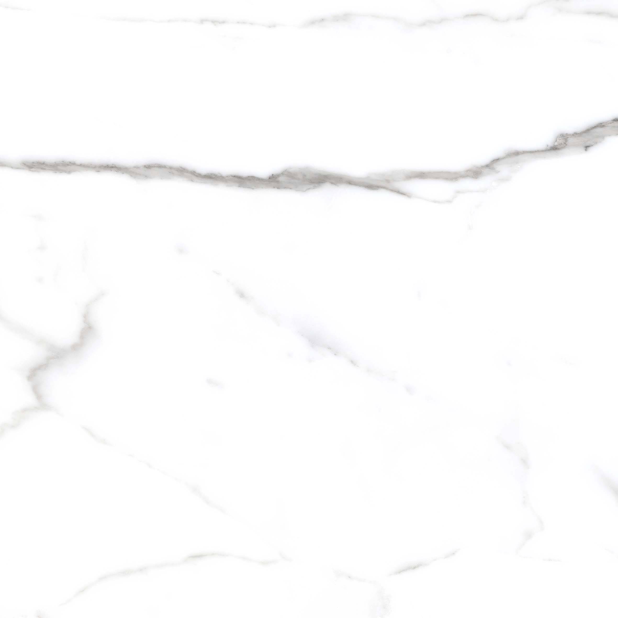 Керамический гранит Primavera Salvatore carving 60x60 CR117 матовый