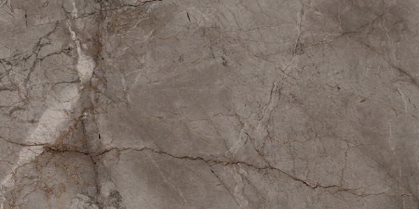 Керамический гранит Root Ash Rec Full Lap BIEN0016 60х120