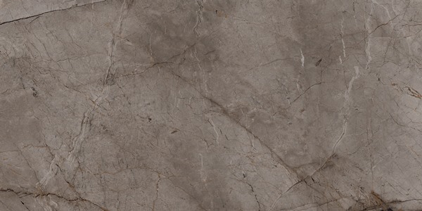 Керамический гранит Root Ash Rec Full Lap BIEN0016 60х120