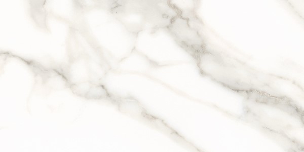Керамический гранит Steppe Ceramics Carrara White 60х120
