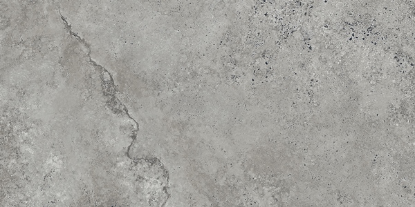 Керамический гранит Lasselsberger Ceramics Киплинг 6260-0229 30х60 серый