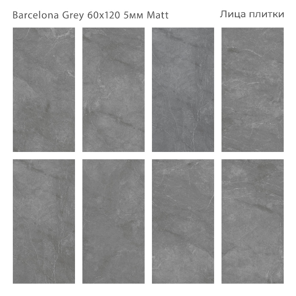 Керамический гранит Barcelona Grey Matt 60x120 5мм