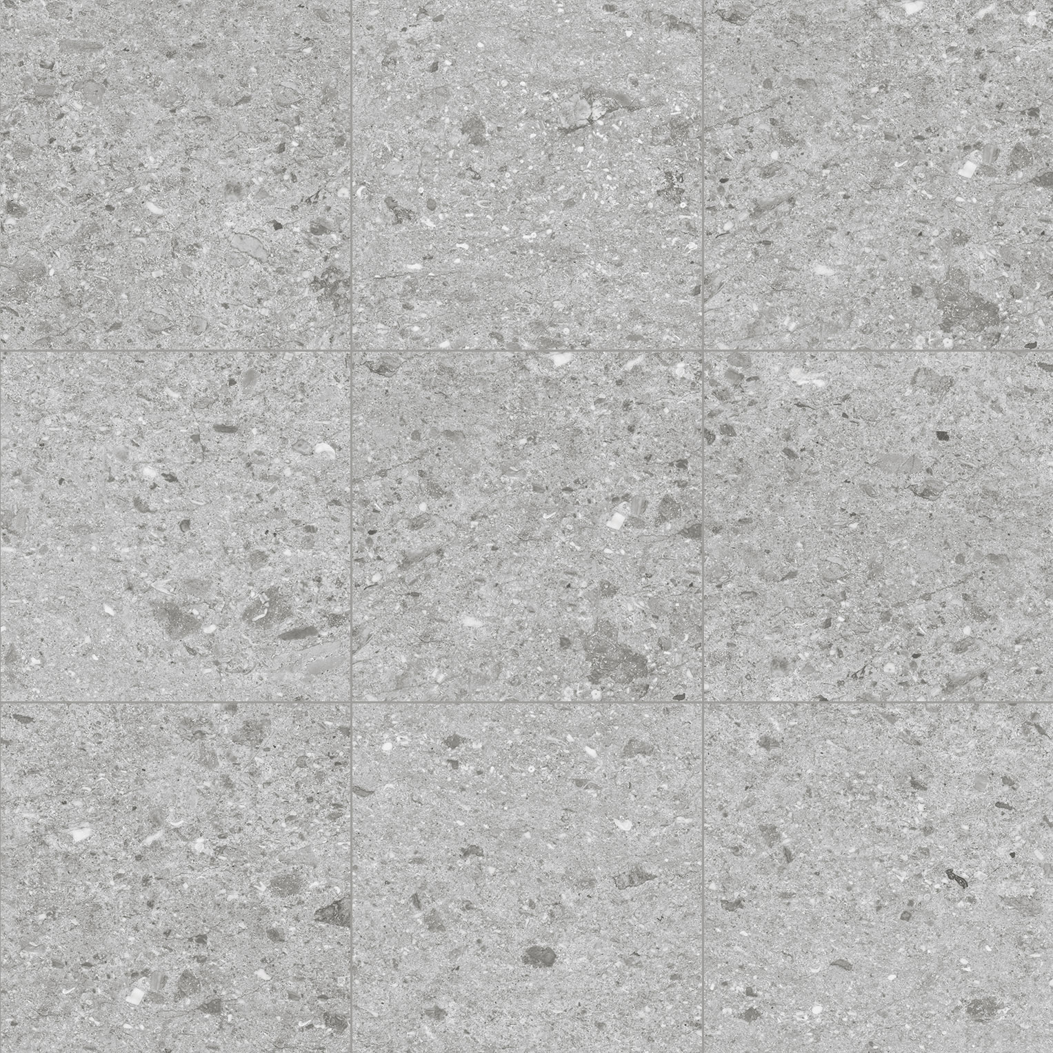 Керамический гранит Canyon Silver Matt 60x60