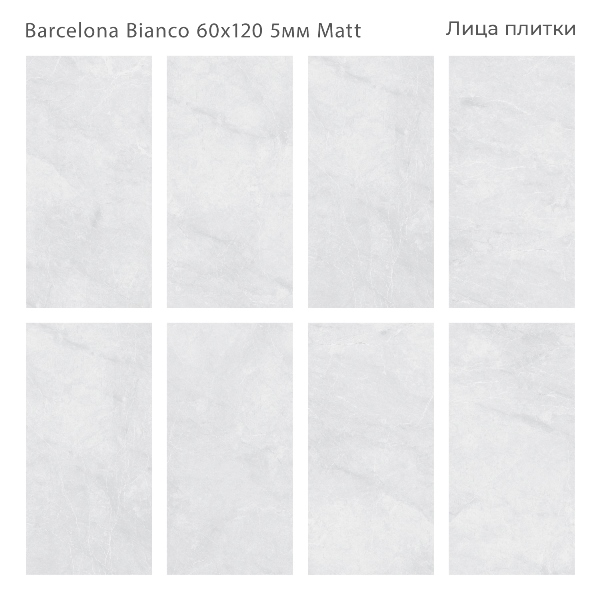 Керамический гранит Barcelona Bianco Matt 60x120 5мм