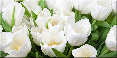 Керамический декор Элара Верде Триумф