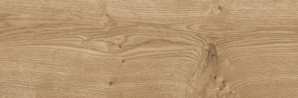 Керамический гранит Lasselsberger Ceramics Джордано 6264-0119 20х60 рустик медовый