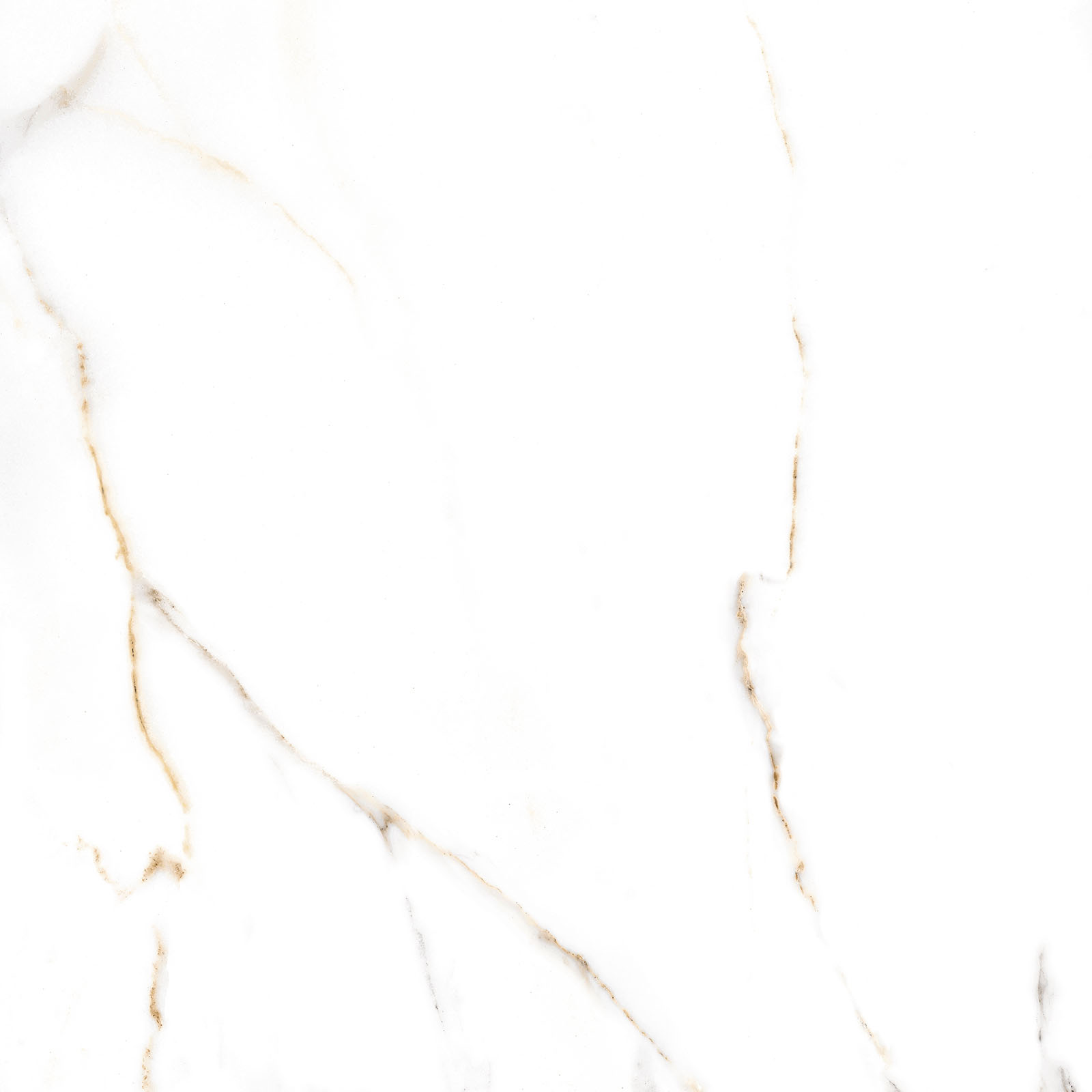 Керамический гранит Alma Ceramica Extra Calacatta матовая 60х60 GFU6060ECL04R в Уфе — купить с доставкой | Nova