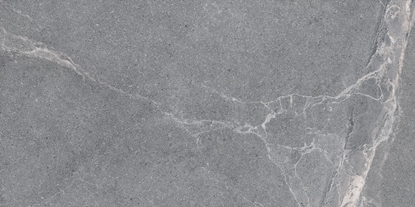 Керамический гранит Lasselsberger Ceramics Диккенс 6260-0225 30х60 серый