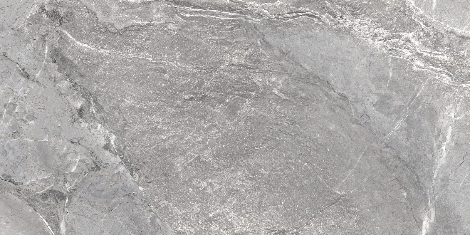 Керамический гранит Delacora Wild Dark матовая 60х120 D120260M в Уфе — купить с доставкой | Nova