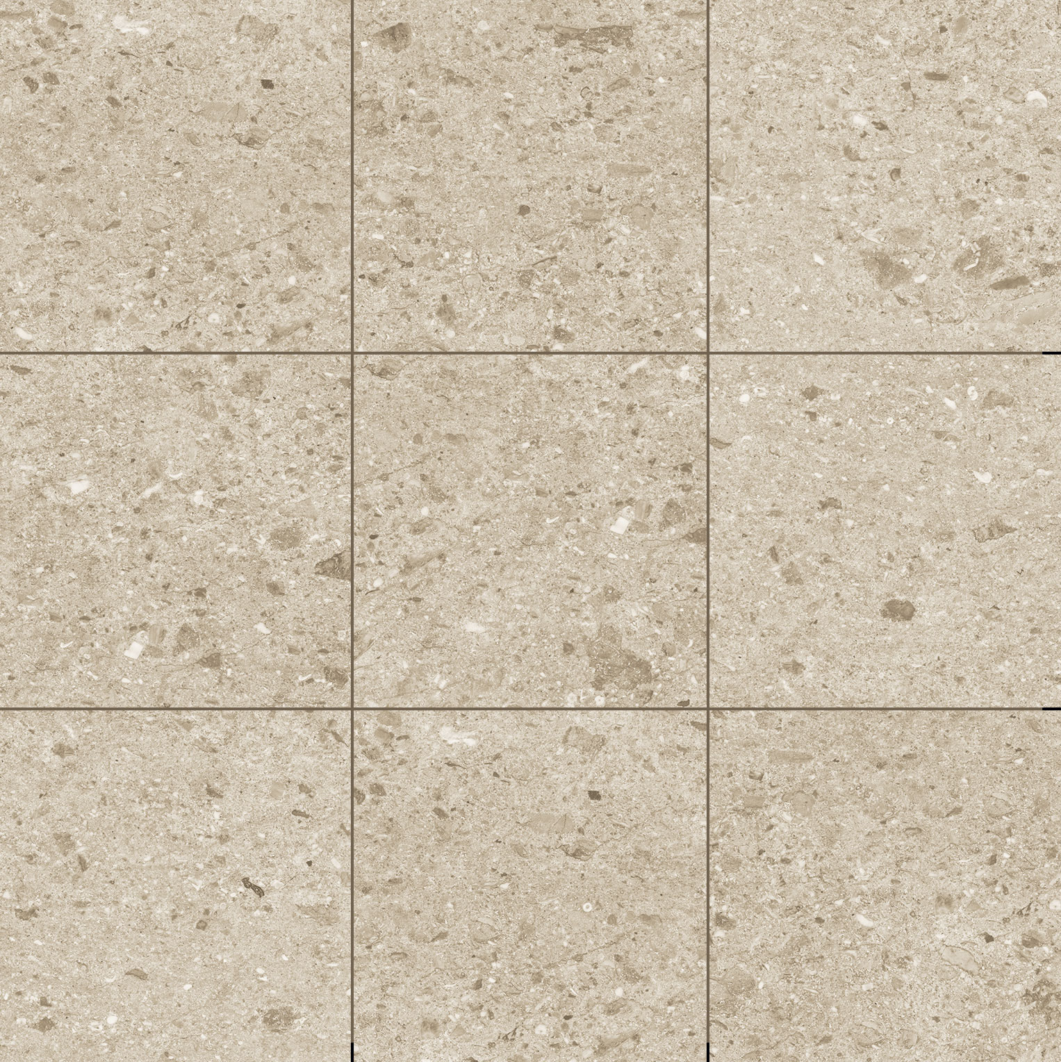 Керамический гранит Canyon Sand Matt 60x60