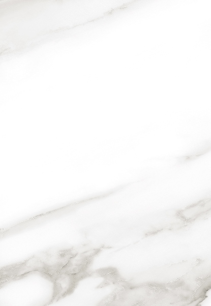 Керамическая плитка Пантеон 7