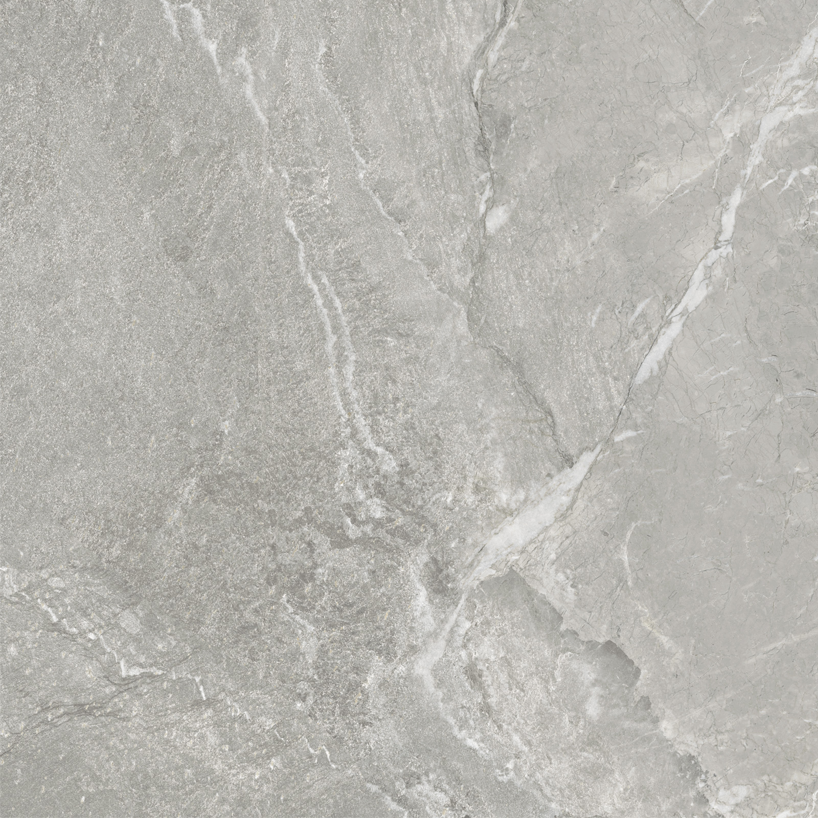 Керамический гранит Delacora Wild Light матовая 60х60 D60259M в Уфе — купить с доставкой | Nova
