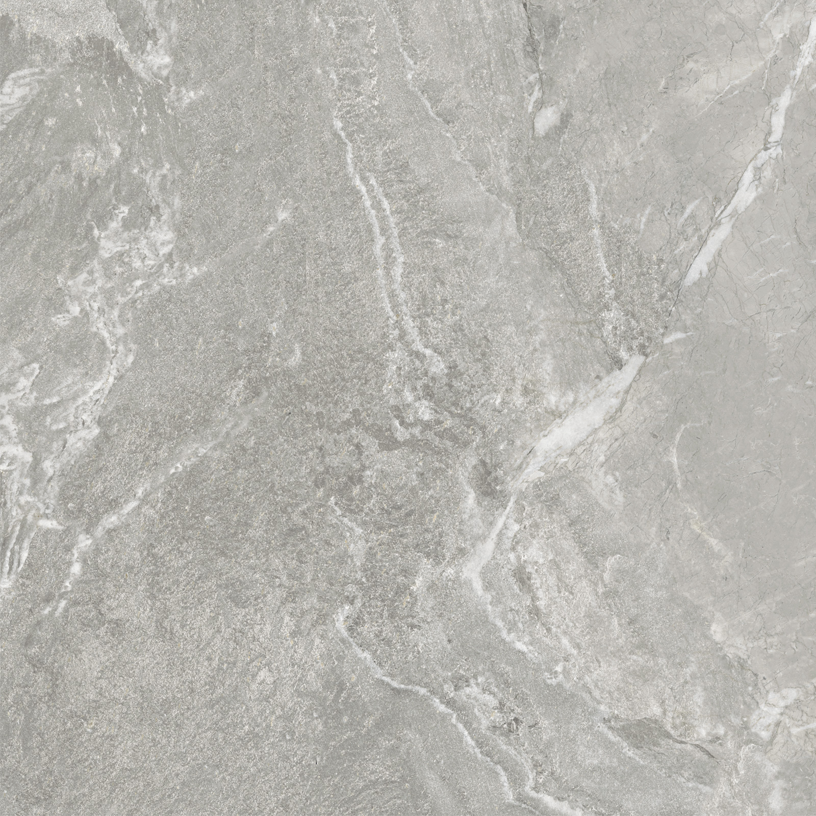 Керамический гранит Delacora Wild Light матовая 60х60 D60259M в Уфе — купить с доставкой | Nova