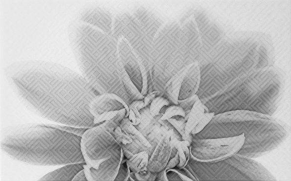 Керамический декор Камелия чёрный 03