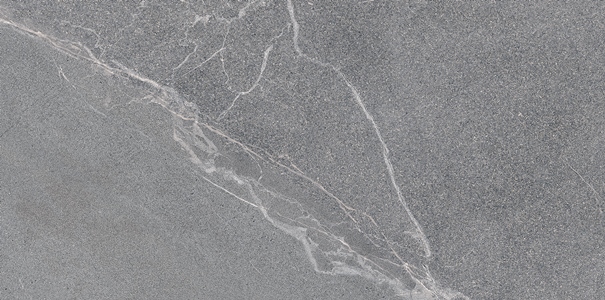 Керамический гранит Lasselsberger Ceramics Диккенс 6260-0225 30х60 серый