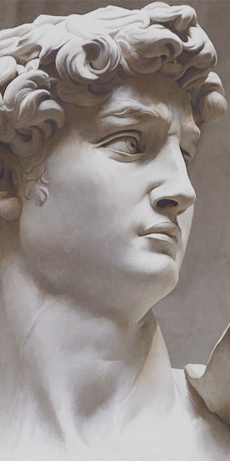 Керамический гранит Kerama Marazzi Давид 2 VT\B564\SG591820R матовый обрезной 119,5х238,5 (ст.арт. VT/B564/SG5918R)