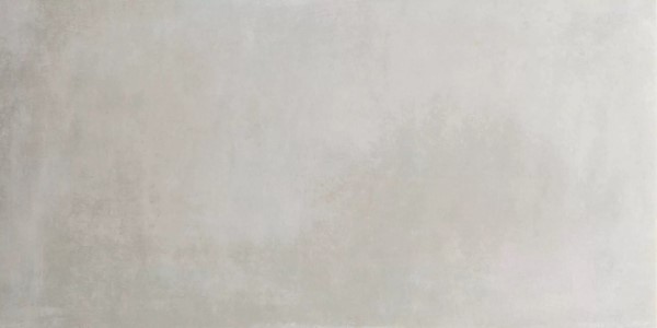 Керамический гранит Es.Essen Ash Rect. 60х120